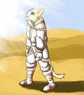 armor artist:Todo_Deygulash character:Katia_Managan sunlight