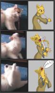accidents_happen adorable artist:Zargothrax braids cat character:Little_Katia comic khajiit_racism photo text