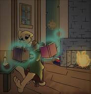 Katia's_wizard_robe Kvatch_Mages_Guild artist:lapma books character:Katia_Managan character:Welkynd_Kitty chiaroscuro fire magic reading telekinesis witch-hunter_control_panel
