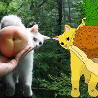 artist:Doprolol cat character:Katia_Managan inconsistent_rendering khajiit_racism knock_off pineapple