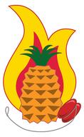 artist:JJA fire iconography pineapple yo-yo