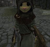 Katia's_adventurer_outfit TES_Skyrim inconsistent_rendering mage_hoods mod