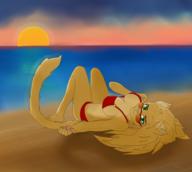 artist:DOOMGUY11 beach character:Rajirra magnus swimsuit