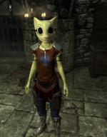 Katia's_adventurer_outfit Skyrim TES_Skyrim armor character:Katia_Managan mod screenshot