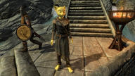 Katia's_wizard_robe TES_Skyrim character:Katia_Managan inconsistent_rendering law_enforcement mod screenshot