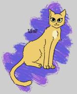 Khajiit adorable alfiq artist:Wart beautiful cat character:Katia_Managan not_sure_if_racist