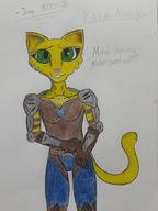 Kvatch_arena_armor artist:DOOMGUY11 character:Katia_Managan green_eyes text