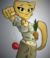 artist:lapma character:Katia_Managan drunk pineapple pineapple_and_yo-yo_trick rags yo-yo