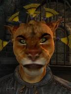 Imperial_City Khajiit TES_Oblivion character:Katia_Managan portrait screenshot