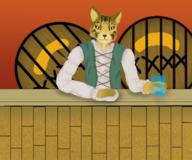 artist:Robbyn character:bartender kvatch_bar