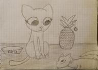 character:Katia_Managan character:Quill-Weave kittens monochrome not_sure_if_racist pineapple sketch yo-yo