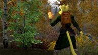 Katia's_wizard_robe Skyrim TES_Skyrim character:Katia_Managan inconsistent_rendering machete magic_fire screenshot